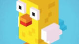 A pixel voxel chicken hopping across a busy three-lane highway in Crossy Road